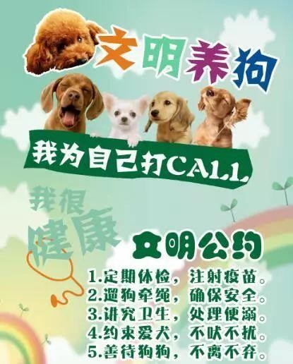 全城萌犬开启争宠模式！不光比卖萌还要比……